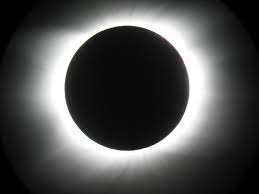 186561a0-21e8-4367-b218-b5a952a743e5.jpg