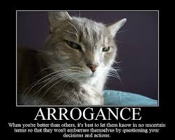 Arrogant 中文 Enercell